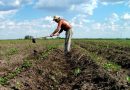 Romania’s Government wants priests to convince farmers to join cooperatives